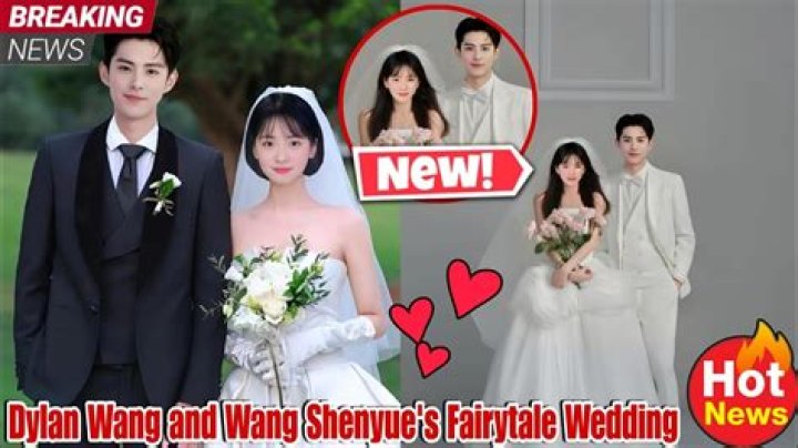 Dylan Wang Girlfriend: A Comprehensive Look into His Love Life