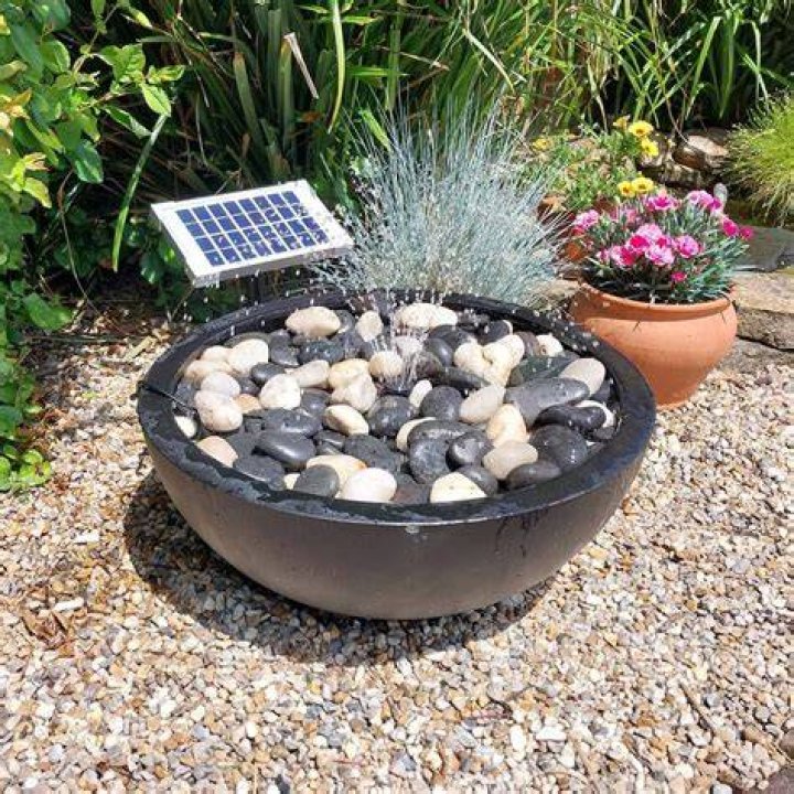 Enhance Your Pond with Solar-Powered Illumination