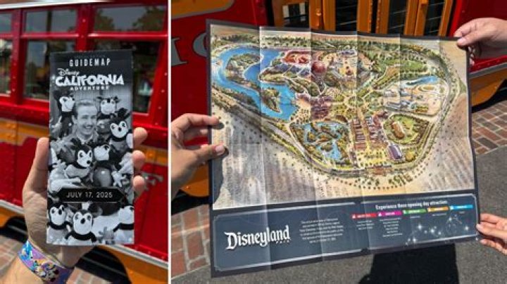 Everything You Need to Know About Disneyland Lockers
