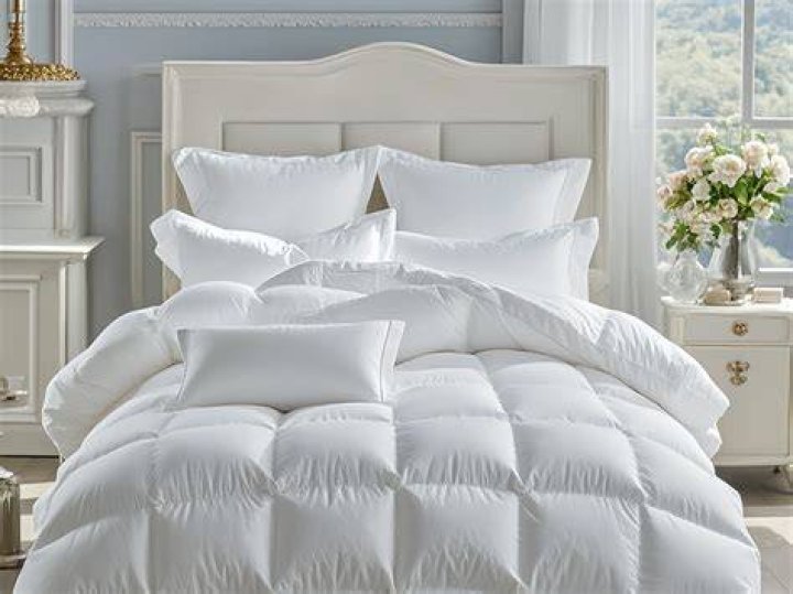Everything You Need to Know About Goose Down Pillows