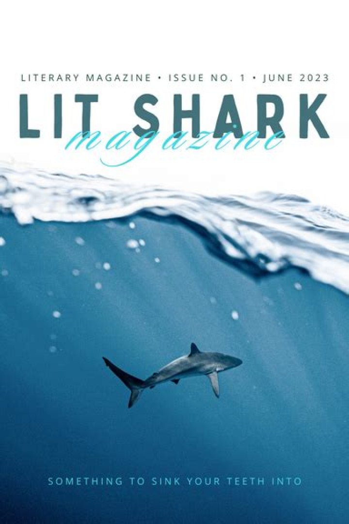 Everything You Need to Know About Lit Shark Tank