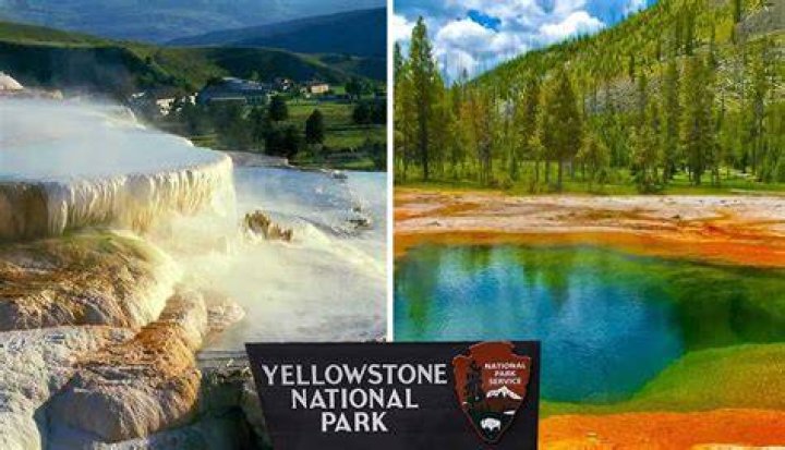 Explore the Wonders of Yellowstone: Your Guide to an Unforgettable Adventure