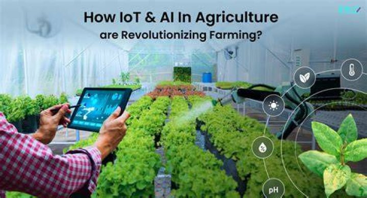 Exploring Egg2025: Revolutionizing the Future of Agriculture