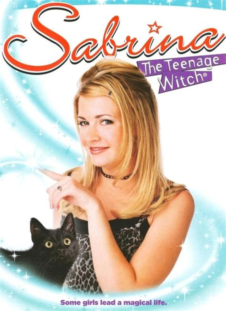 Exploring Salem the Skunk: The Beloved Character from Sabrina the Teenage Witch