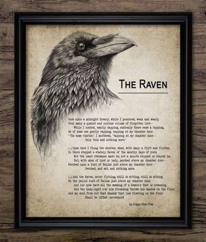 Exploring the Cast of Raven's Home: A Deep Dive into the Beloved Series