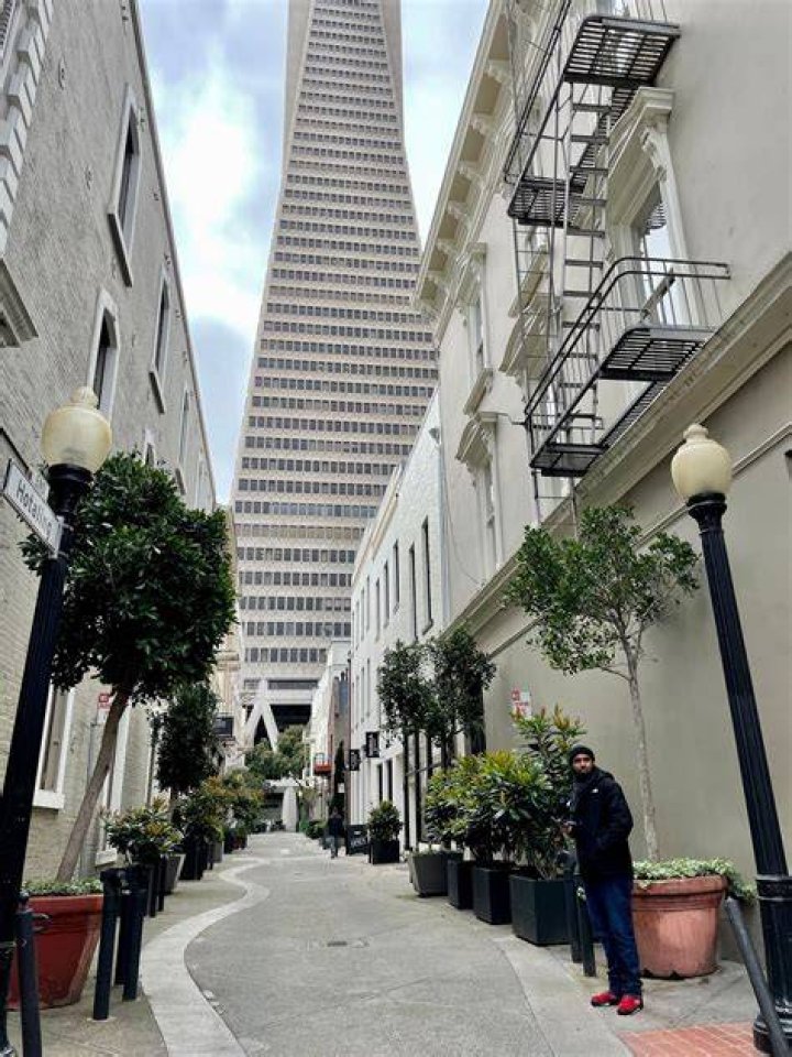 Exploring the Charm and History of Jackson Street
