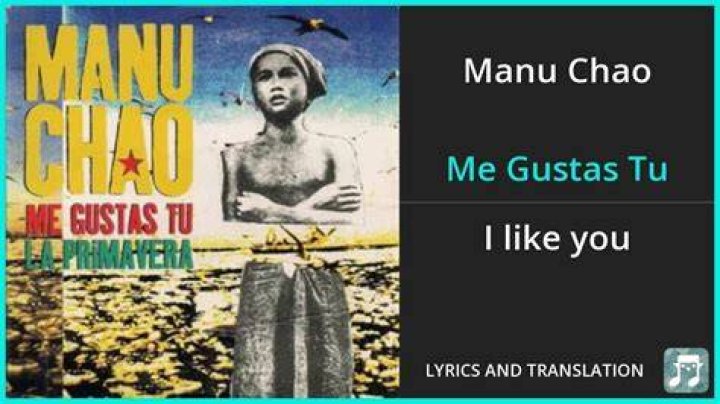 Exploring the Charm of Manu Chao's 