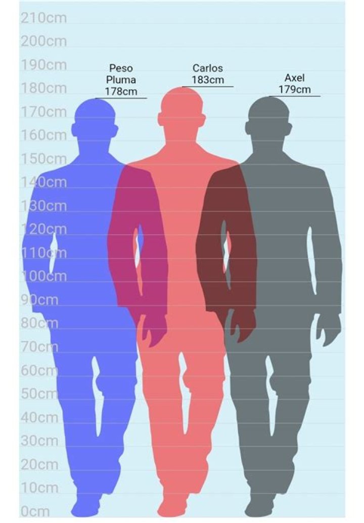 Exploring the Dimensions of Peso Pluma: ¿Cuánto Mide Peso Pluma?