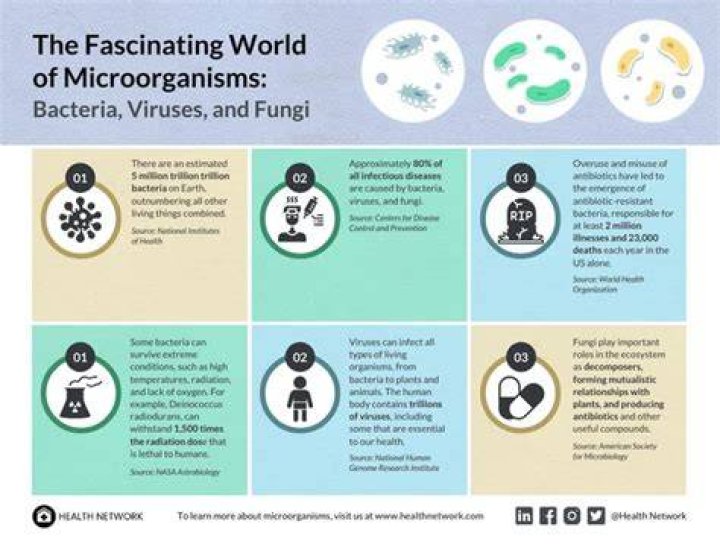 Exploring the Fascinating World of 49: Insights, Facts, and More