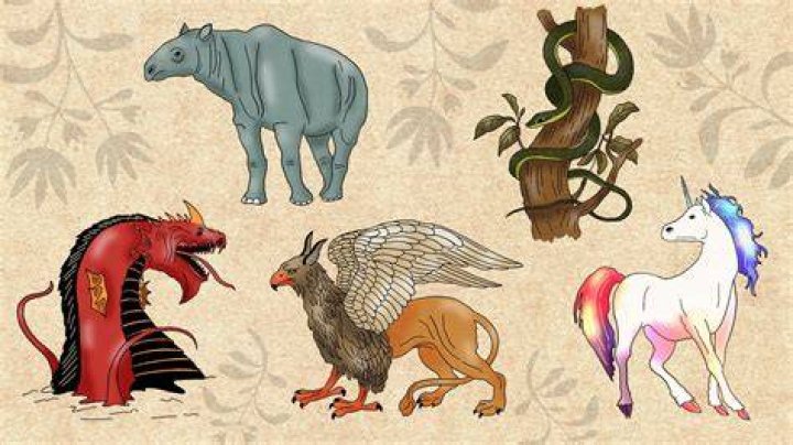 Exploring the Fascinating World of Hawk and Griffin: Mythical Creatures in History and Culture