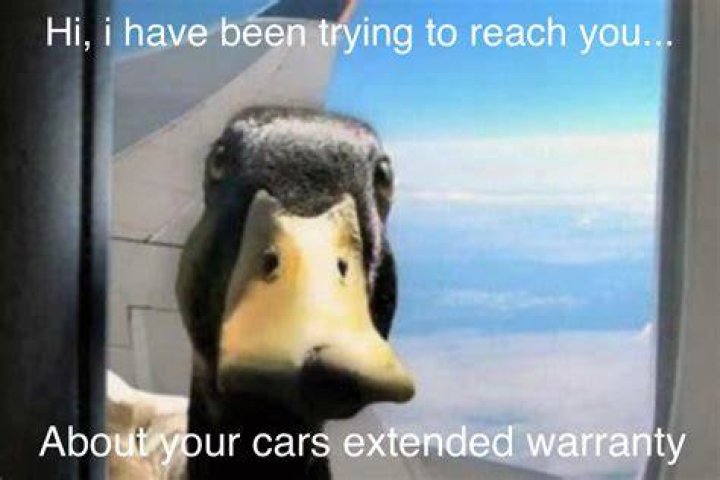 Exploring the Hilarity Behind the Cars Extended Warranty Meme