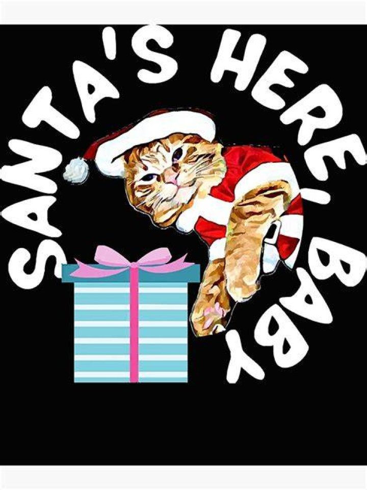 Exploring the Legacy of Santa's Futbol Club: History, Achievements, and Future Prospects