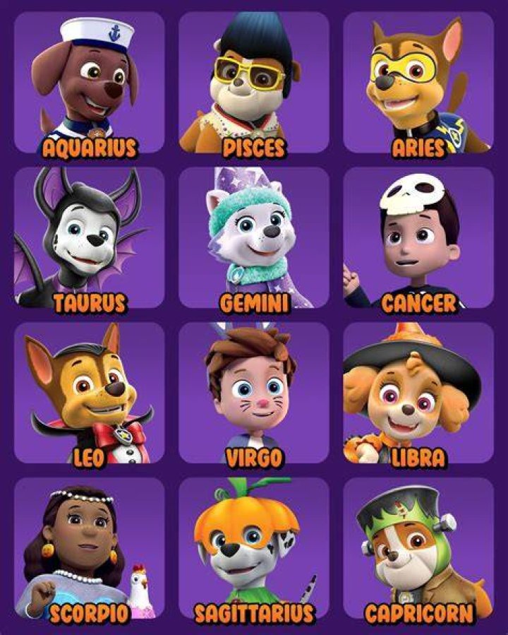 Exploring the Names of Pet Patrol Characters: A Comprehensive Guide