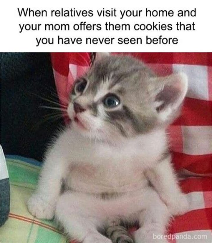 Exploring the Quirky World of Weird Memes