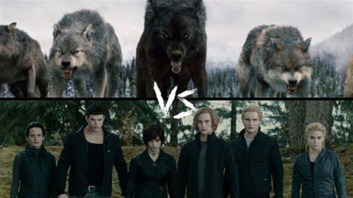 Exploring the Twilight Characters: A Deep Dive into the Vampires, Werewolves, and Humans of Forks