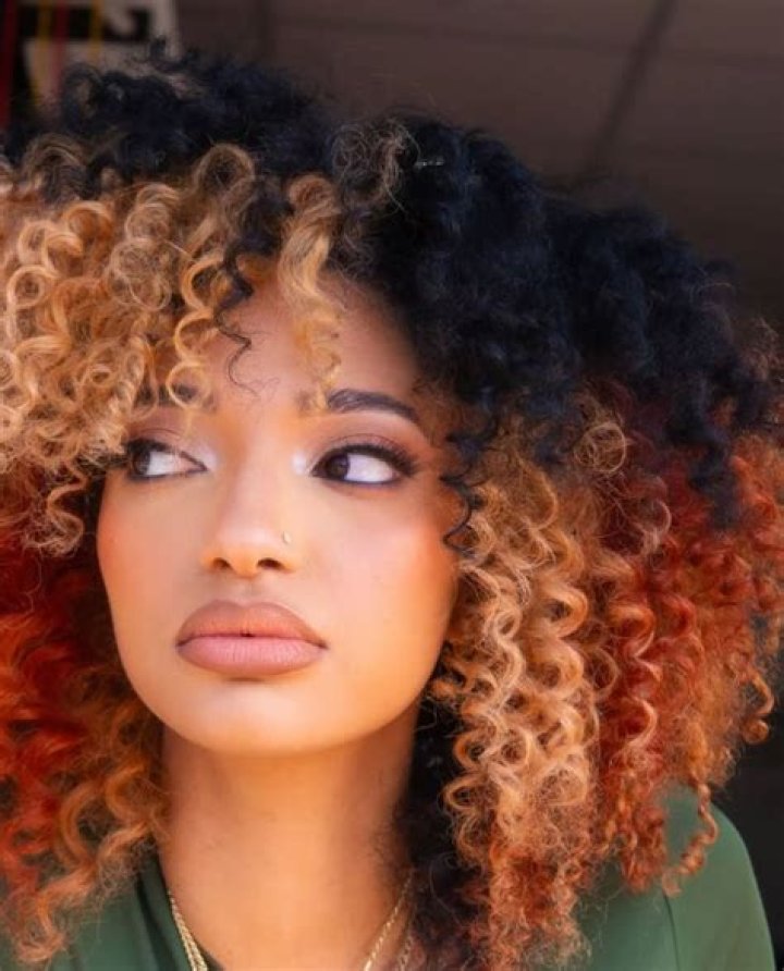 Exploring the Unique Beauty of Hair Color Hair Curly Calico Cat Hair Afro