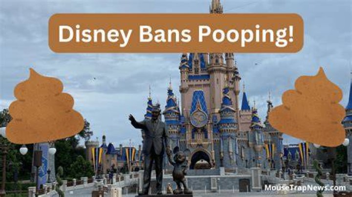 Exploring the Unique Experience of Disney World Pooping