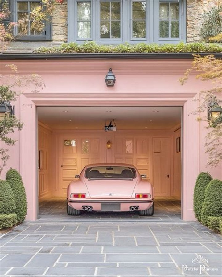 Exploring the Unique World of Domain Pink Garage