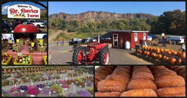 Exploring the Wonders of Dr. Davies Farm: A Comprehensive Guide