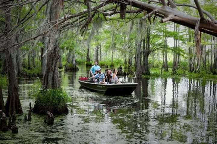 Exploring the World of Swamp People: A Deep Dive into Their Lives and Culture