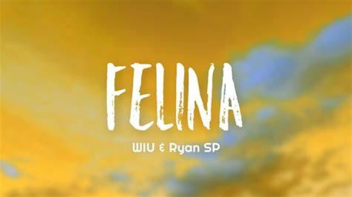 Felina WIU Lyrics English: An In-Depth Exploration