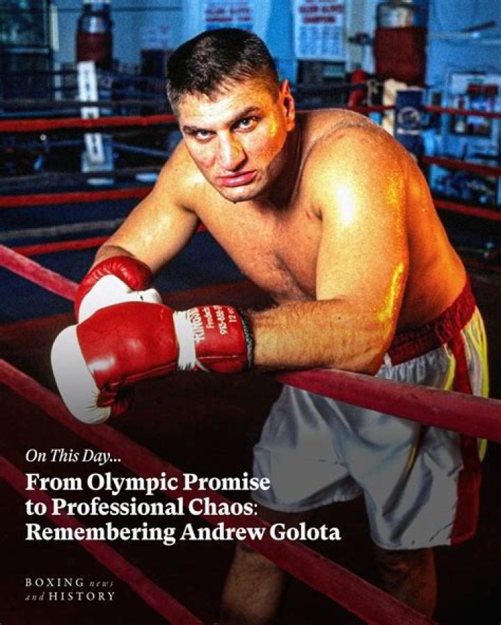 Fight Haven: Andrew Golota Fights and Knockouts