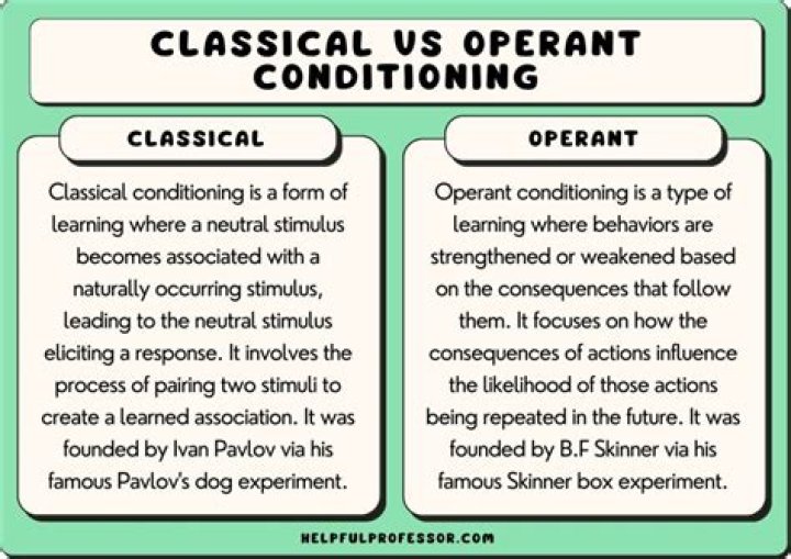 Fight vs Shoot vs Stab: Understanding the Differences and Implications