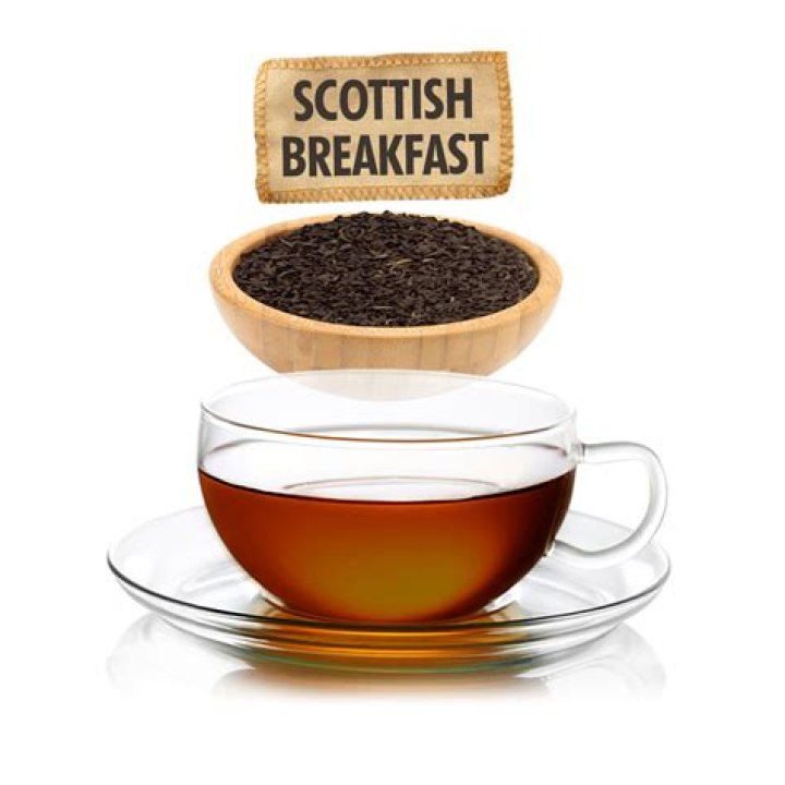 Find the Perfect Cup at Braxton Berriooffeehop
