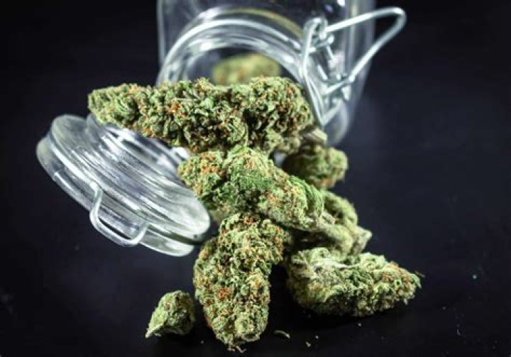 Find the Perfect Nike Weed: Discover the Best Strains and Gear