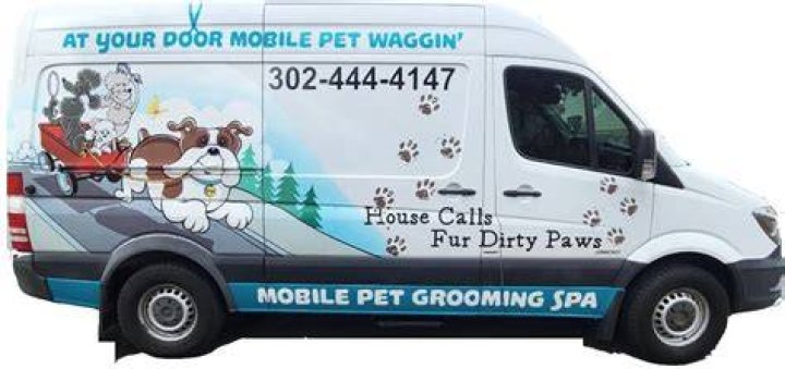 Finding the Best Mobile Pet Grooming Near Me