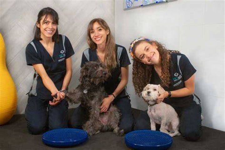 Finding the Right Veterinario Cerca de Mi for Your Pet