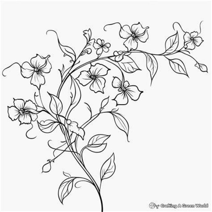 Flower Vine Drawing: A Comprehensive Guide for Art Enthusiasts