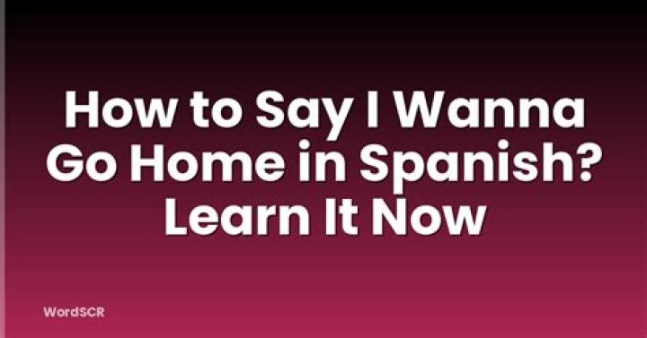 Go Home in Spanish: Understanding the Phrase and Its Contexts