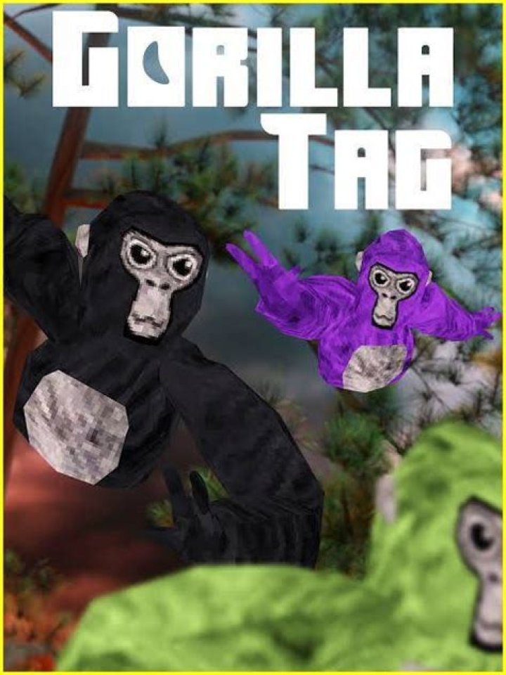 Gorilla Tag Accounts on Steam: A Comprehensive Guide