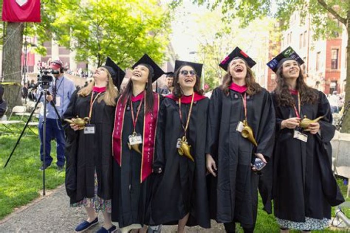 Graduation at the Veterinary University of Montreal: A Journey to Diploma Remise