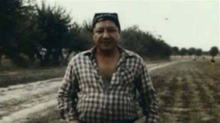 Grant Horvat: A Cinematic Journey Through Film