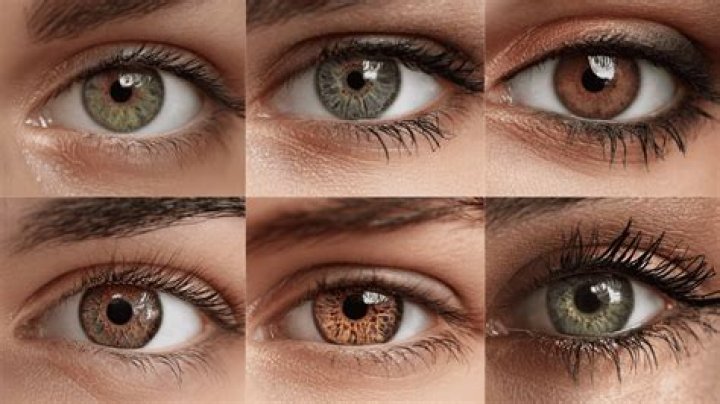 Hazel Eye Color Chart: Understanding the Beauty and Diversity of Hazel Eyes