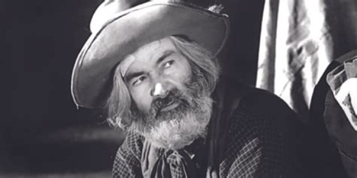 Hollywood Icon: Actor Gabby Hayes' Timeless Appeal