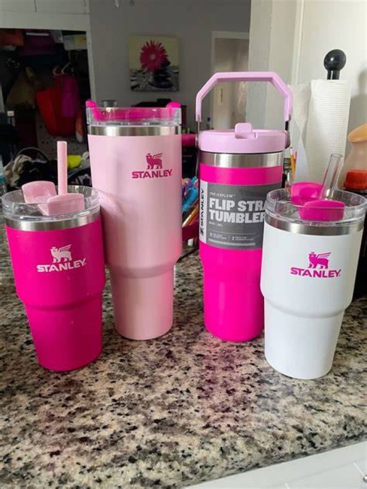 Hot Pink Stanley: The Ultimate Guide to This Must-Have Drinkware