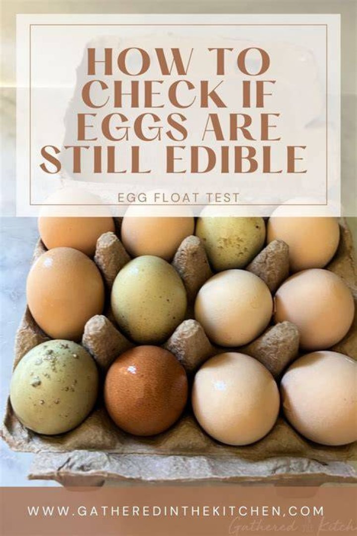 How Can You Tell If Eggs Are Still Good? A Comprehensive Guide
