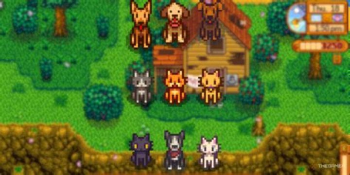 How Many Pets Can I Have in Stardew Valley?