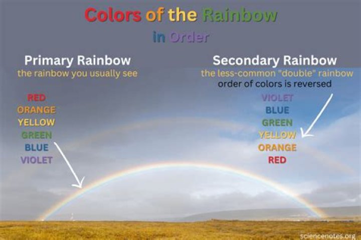 How Many Rainbow Colors Are There? Understanding the Spectrum of Colors