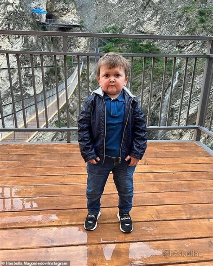 How Old is Hasbulla? The Rise of a Viral Sensation
