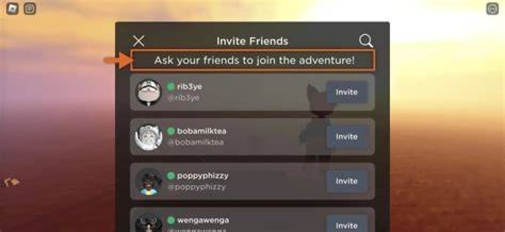 How to Invite a Player in Game SOT