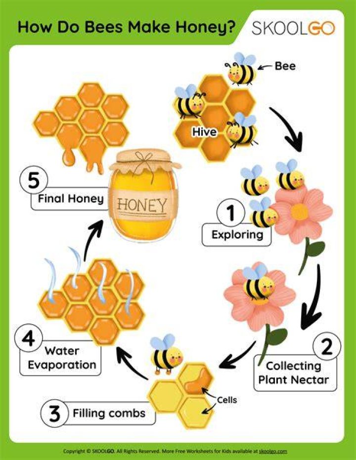 I Hope You Like Bees ITFT: A Journey into the World of Bees and Their Importance