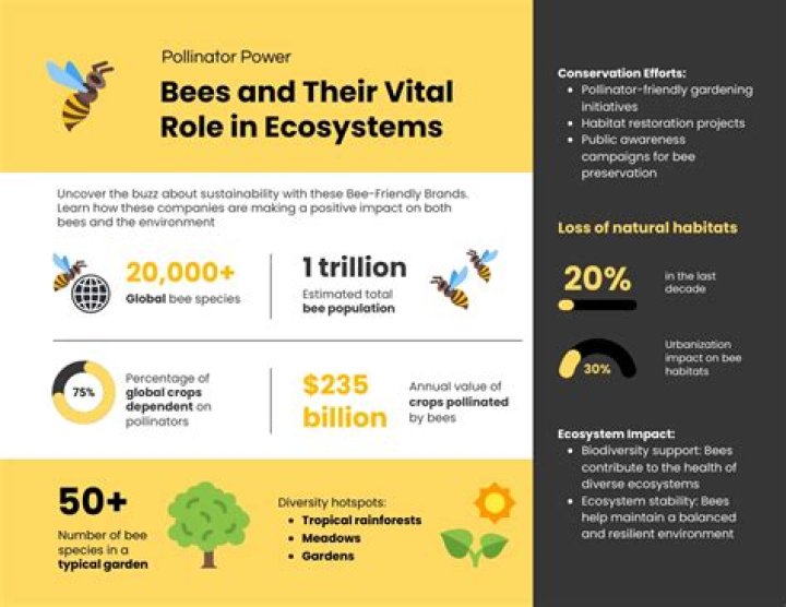 I Hope You Like Bees: The Importance of Bees in Our Ecosystem