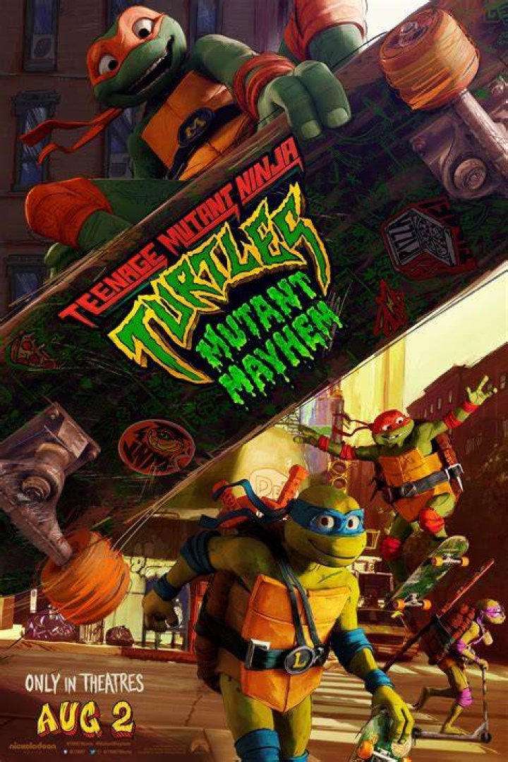 I Like Turtles Meaning: Unraveling the Fascinating Phrase