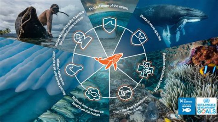 Into the Blue 2024: Exploring the Future of Ocean Conservation