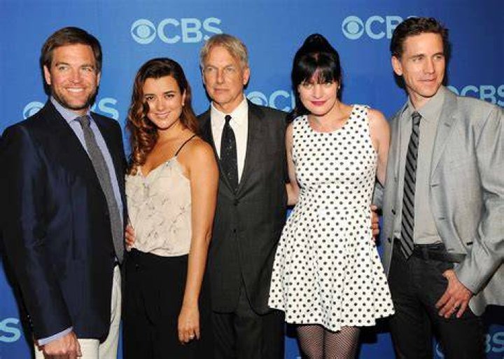 Introducing the Cast of the Beloved TV Show 
