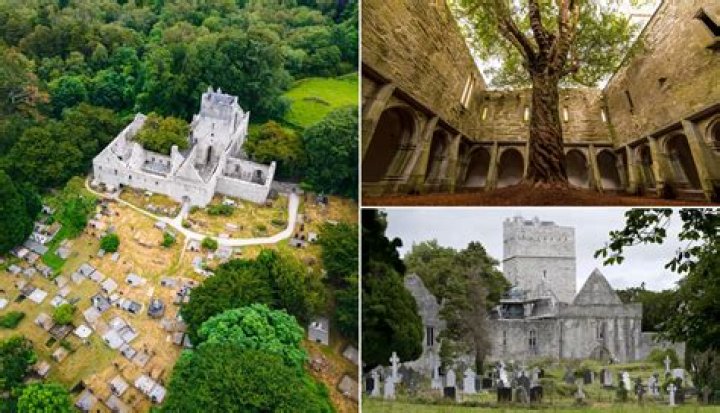 Ireland's Muckross Abbey: History & Beauty Unveiled